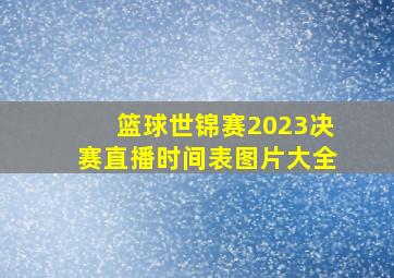 篮球世锦赛2023决赛直播时间表图片大全