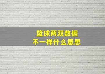 篮球两双数据不一样什么意思