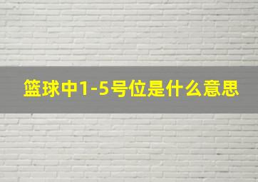 篮球中1-5号位是什么意思