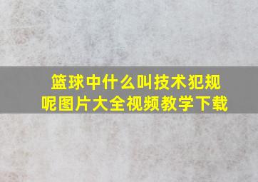 篮球中什么叫技术犯规呢图片大全视频教学下载