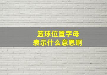 篮球位置字母表示什么意思啊