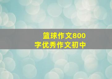 篮球作文800字优秀作文初中