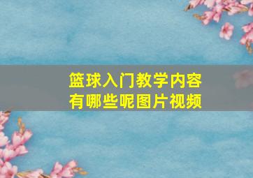 篮球入门教学内容有哪些呢图片视频