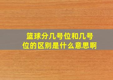 篮球分几号位和几号位的区别是什么意思啊