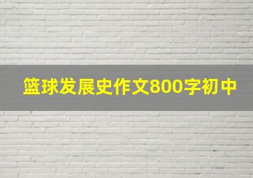 篮球发展史作文800字初中