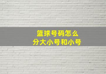 篮球号码怎么分大小号和小号