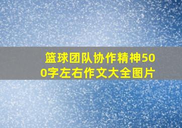 篮球团队协作精神500字左右作文大全图片