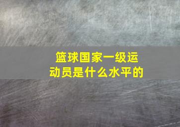 篮球国家一级运动员是什么水平的