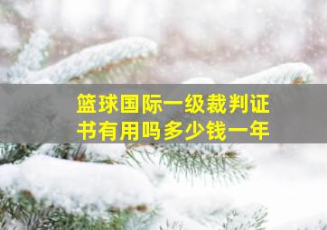 篮球国际一级裁判证书有用吗多少钱一年