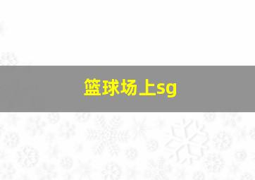 篮球场上sg