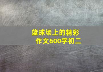 篮球场上的精彩作文600字初二