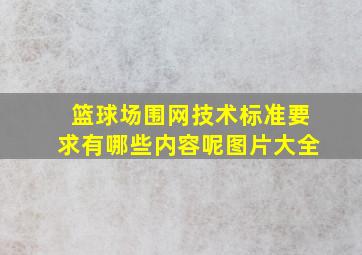 篮球场围网技术标准要求有哪些内容呢图片大全