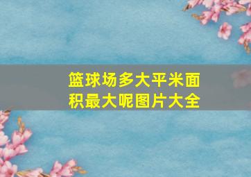 篮球场多大平米面积最大呢图片大全