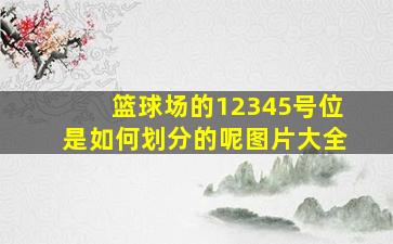 篮球场的12345号位是如何划分的呢图片大全