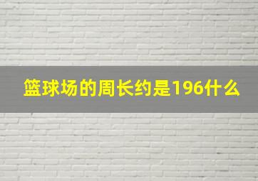 篮球场的周长约是196什么