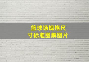 篮球场规格尺寸标准图解图片