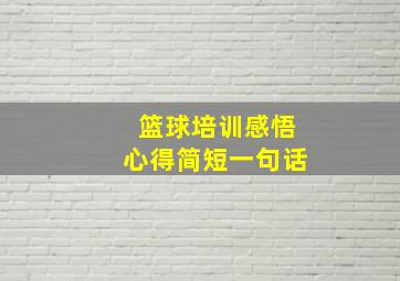 篮球培训感悟心得简短一句话