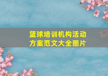 篮球培训机构活动方案范文大全图片