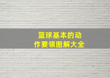 篮球基本的动作要领图解大全