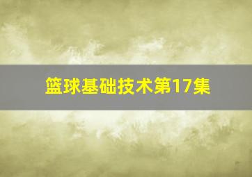 篮球基础技术第17集