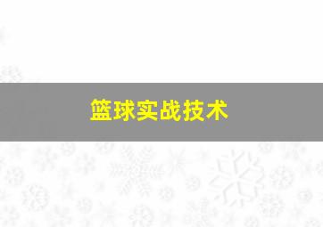 篮球实战技术