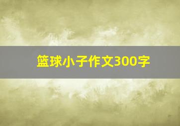 篮球小子作文300字