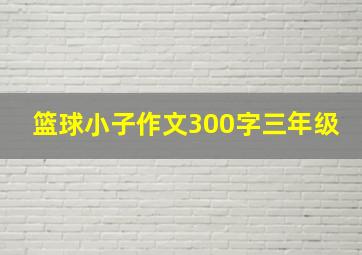 篮球小子作文300字三年级