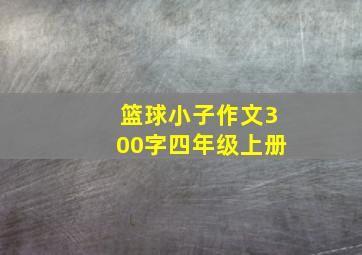 篮球小子作文300字四年级上册