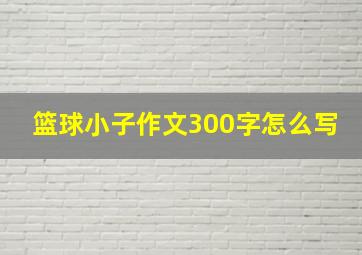 篮球小子作文300字怎么写