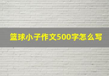 篮球小子作文500字怎么写