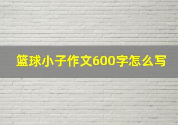 篮球小子作文600字怎么写