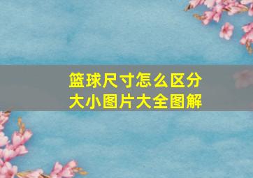 篮球尺寸怎么区分大小图片大全图解