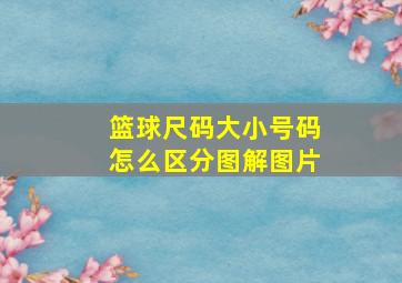 篮球尺码大小号码怎么区分图解图片