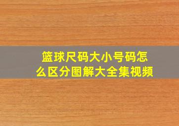 篮球尺码大小号码怎么区分图解大全集视频