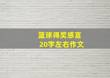 篮球得奖感言20字左右作文