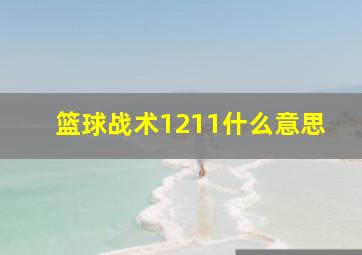 篮球战术1211什么意思