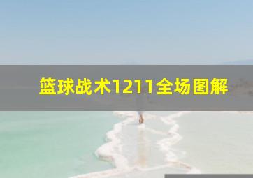 篮球战术1211全场图解