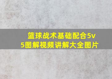 篮球战术基础配合5v5图解视频讲解大全图片