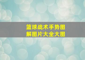 篮球战术手势图解图片大全大图