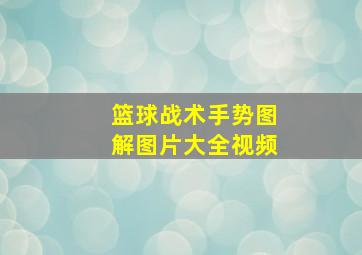 篮球战术手势图解图片大全视频