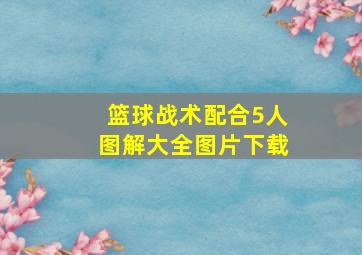 篮球战术配合5人图解大全图片下载