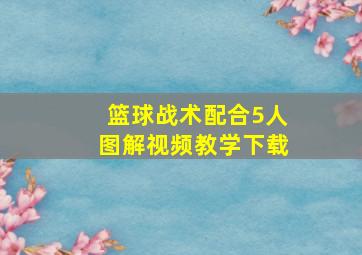 篮球战术配合5人图解视频教学下载