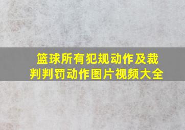 篮球所有犯规动作及裁判判罚动作图片视频大全