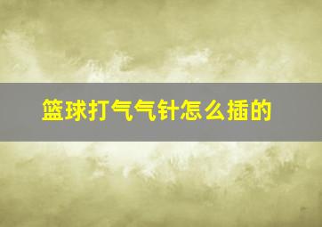 篮球打气气针怎么插的