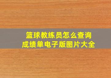 篮球教练员怎么查询成绩单电子版图片大全