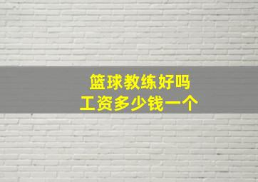 篮球教练好吗工资多少钱一个