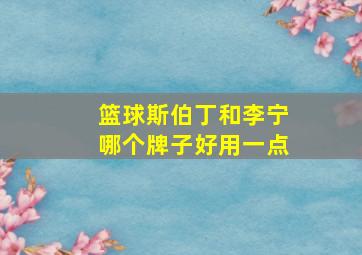 篮球斯伯丁和李宁哪个牌子好用一点