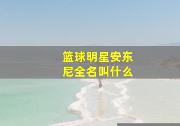 篮球明星安东尼全名叫什么