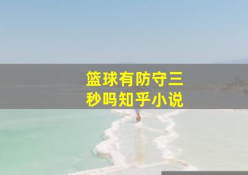 篮球有防守三秒吗知乎小说