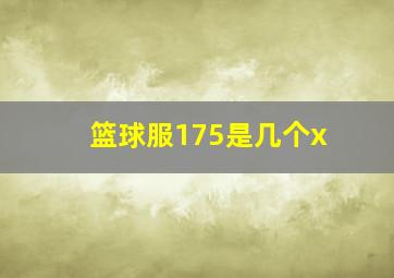 篮球服175是几个x